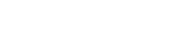 Neto